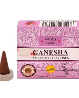 Sree Vani Ganesh cones 060