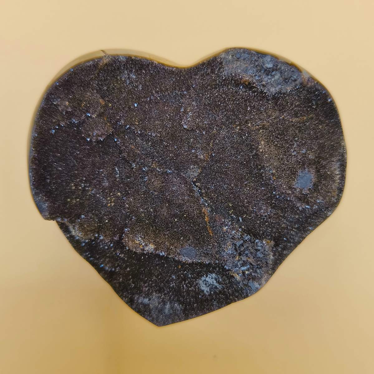 Септарія серце 1500грн за 1шт