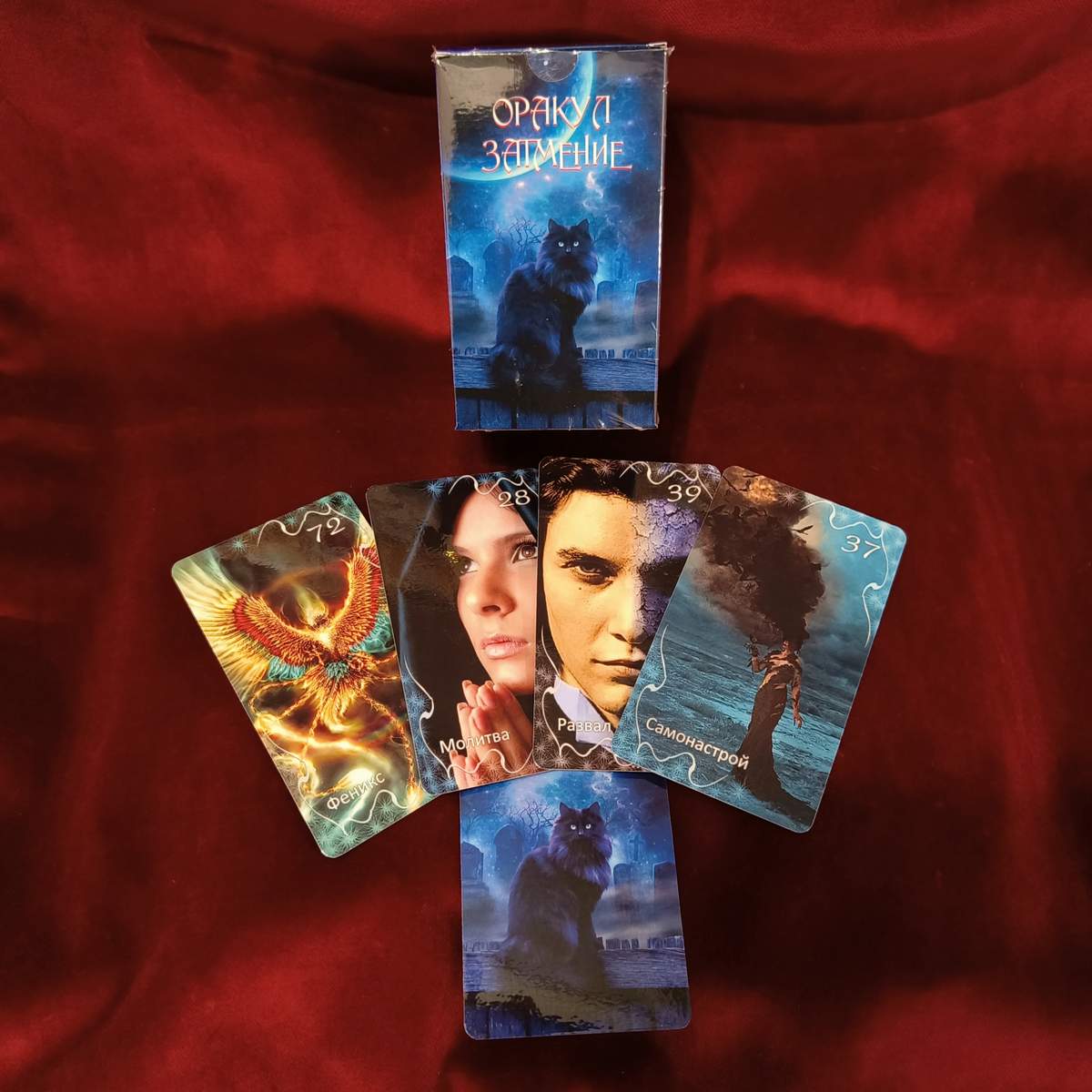 Eclipse Oracle by Amira/ Лак +Бокс+ торец/ Затемнення Аміри (Кіт)/ Україна/