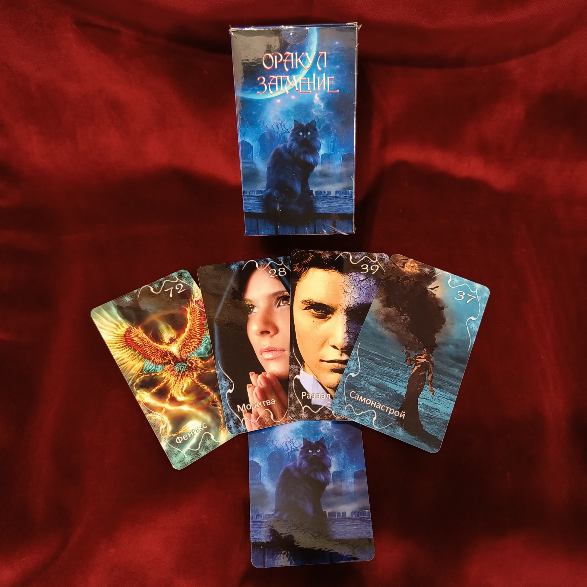 Оракул Затемнення Аміри (Кіт)/ Україна/