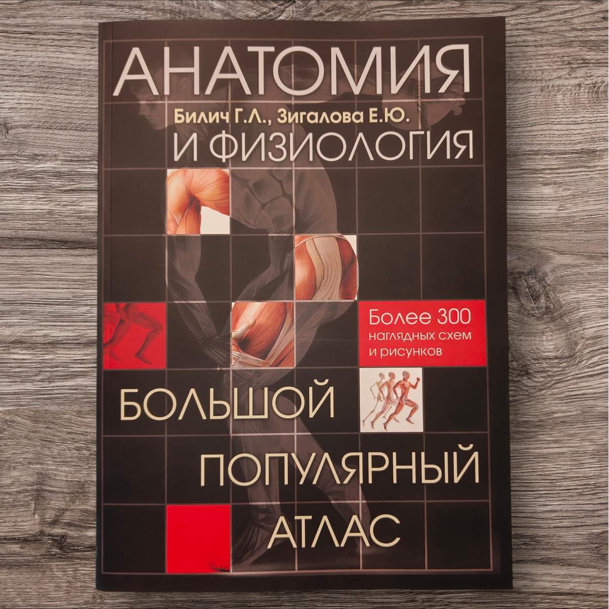 Билич Г. «Анатомия и физиология. Большой популярный атлас» б/ф