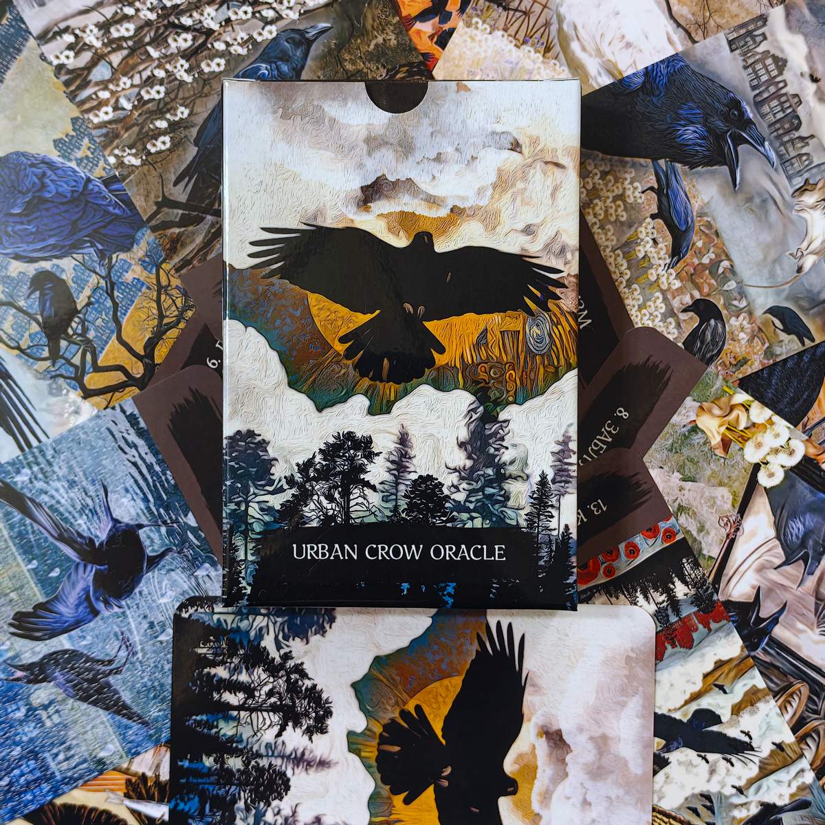 Urban Crow Oracle/ Міських Ворон/ Україна/